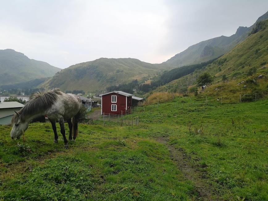 Glamping Lofoten Ξενοδοχείο Kongsjorda Εξωτερικό φωτογραφία