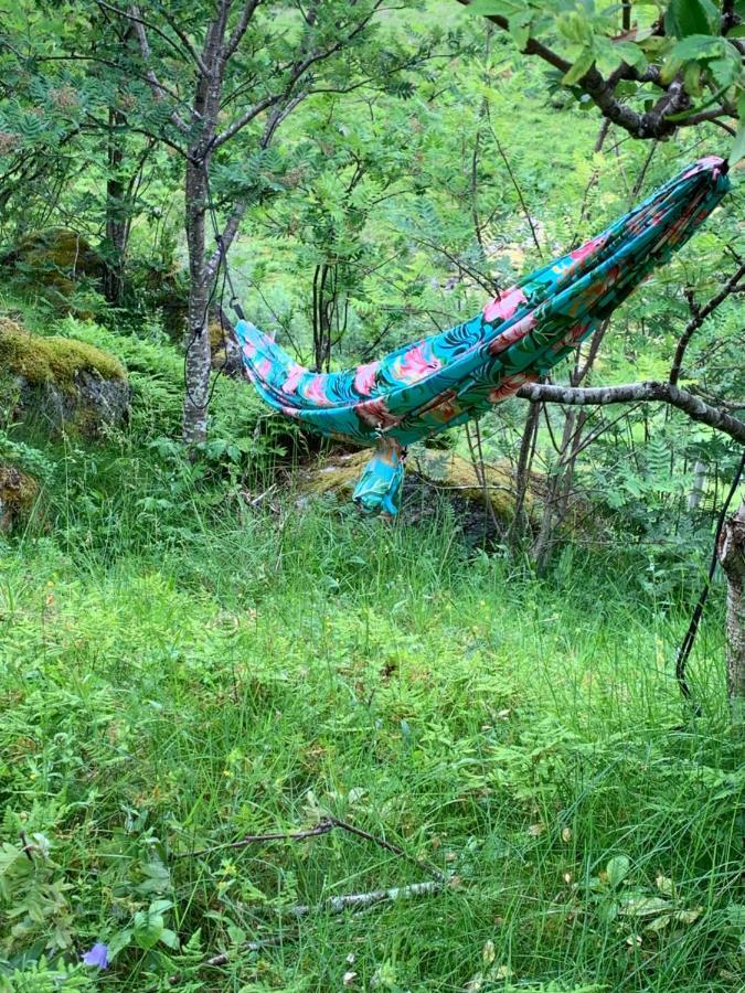 Glamping Lofoten Ξενοδοχείο Kongsjorda Εξωτερικό φωτογραφία